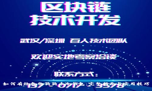 如何有效备份狗狗币冷钱包：完整指南与实用技巧