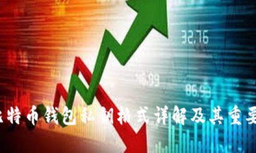  比特币钱包私钥格式详解及其重要性