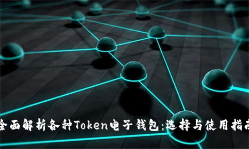 全面解析各种Token电子钱包：选择与使用指南