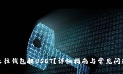 : 怎么往钱包提USDT？详细指南与常见问题解答