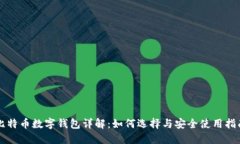 比特币数字钱包详解：如何选择与安全使用指南