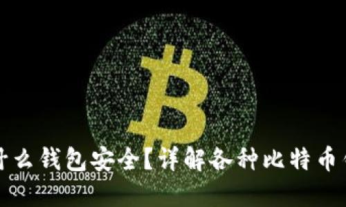 比特币放入什么钱包安全?详解各种比特币钱包的安全性
