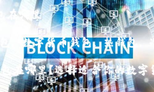 常用的比特币钱包在哪里

关键词：比特币钱包, 数字货币钱包, 热钱包, 冷钱包, 安全存储

 常用的比特币钱包在哪里？选择适合你的数字货币储存方式