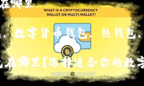 常用的比特币钱包在哪里

关键词：比特币钱包, 数字货币钱包, 热钱包, 冷钱包, 安全存储

 常用的比特币钱包在哪里？选择适合你的数字货币储存方式