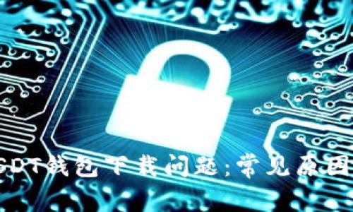 如何解决USDT钱包下载问题：常见原因及解决方案