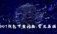 如何解决USDT钱包下载问题：常见原因及解决方案
