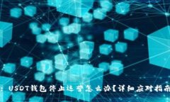 : USDT钱包停止运营怎么办？详细应对指南