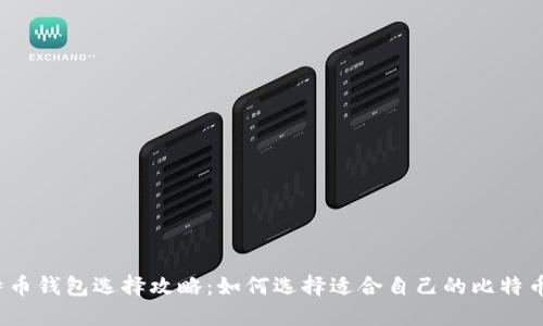  比特币钱包选择攻略：如何选择适合自己的比特币钱包