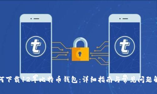 如何下载12年比特币钱包：详细指南与常见问题解答